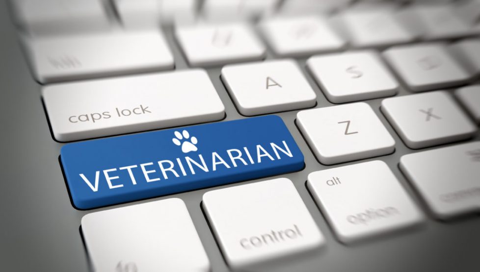 Online veterinarian